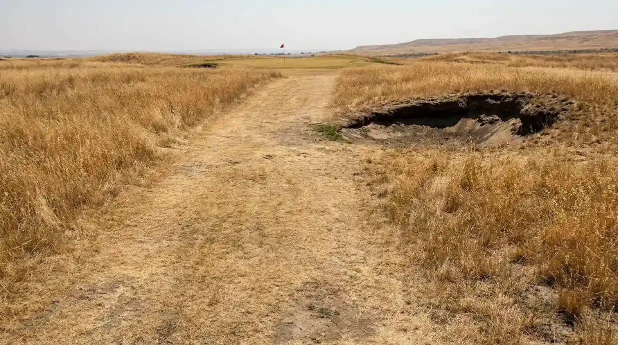 Narrow US Open fairway flanked by knee-deep rough and a single bunker on a parched summer course